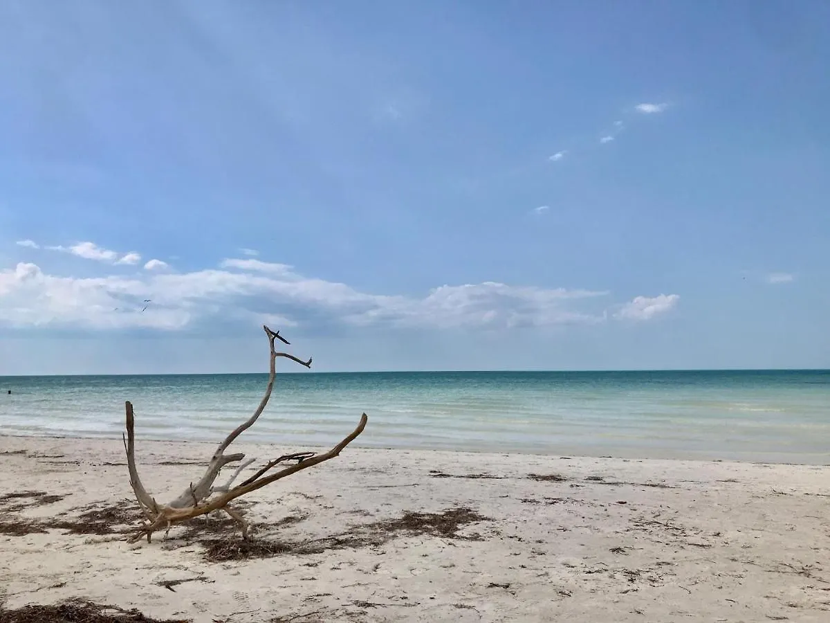 Casacalma Great For Families! Villa Isla Holbox 0*,