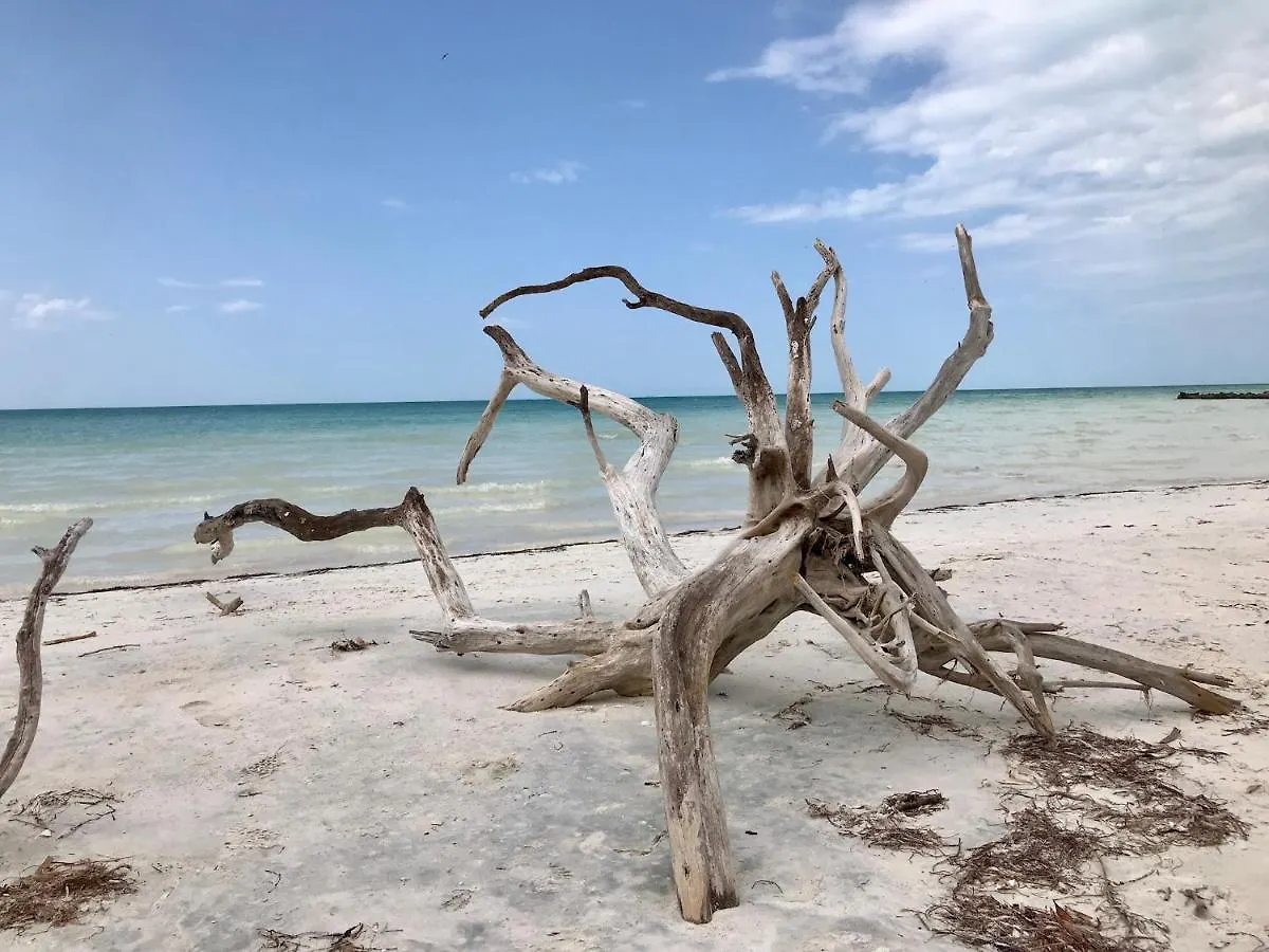 Casacalma Great For Families! Villa Isla Holbox